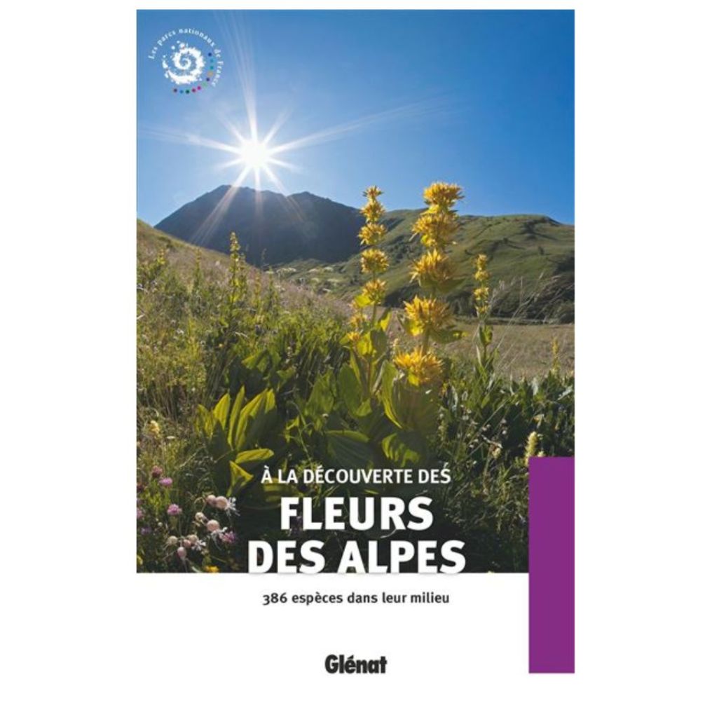 Guide pour découvrir les fleurs des Alpes