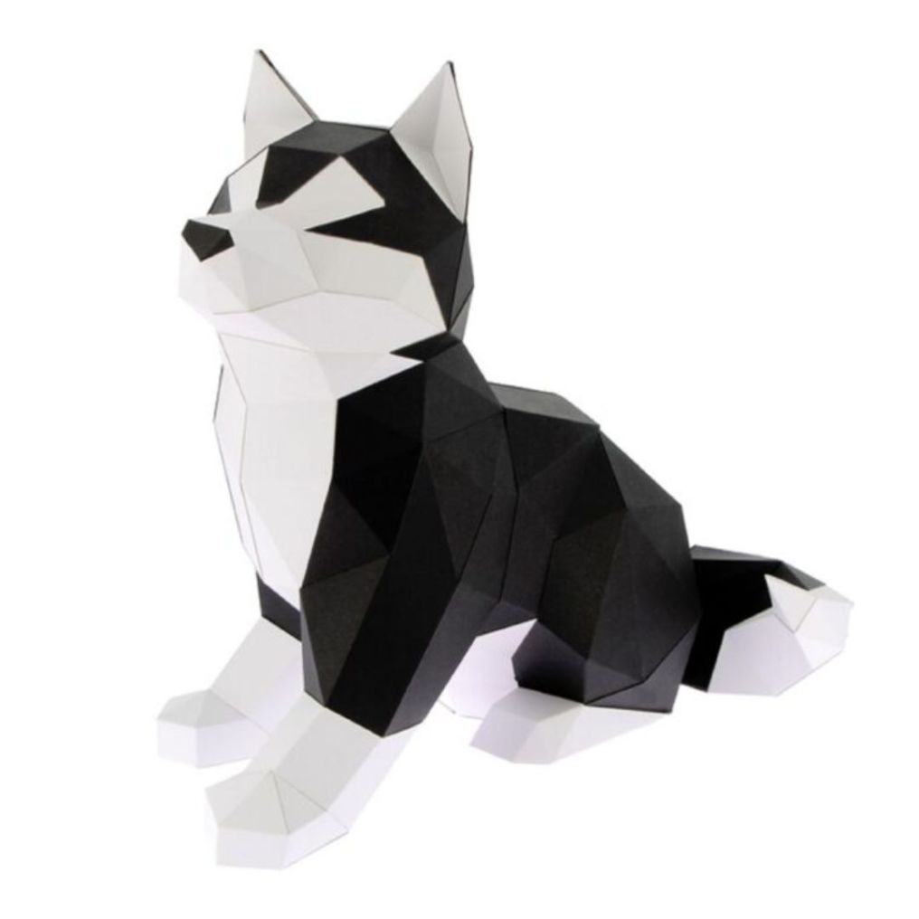 Agent Paper Husky à construire 3D